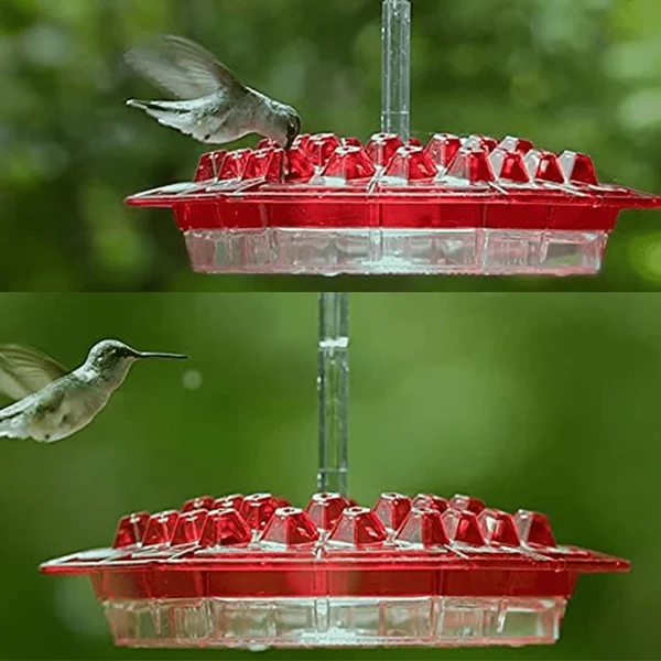 Olygee Sweety Hummingbird Feeder
